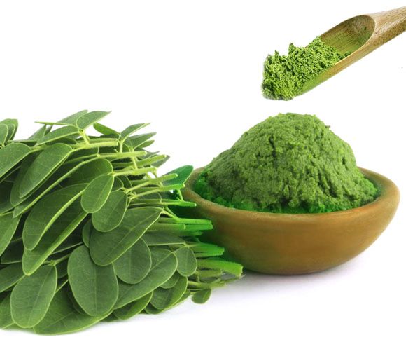 La moringa el superalimento que refuerza nuestro sistema inmunológico