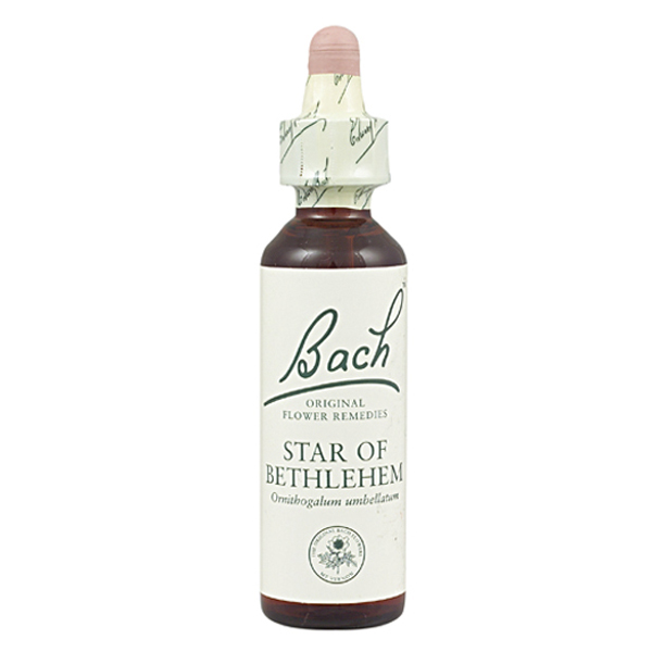 BACH 29-Star of Bethlehem (Estrella de Belén)(20 ml.)