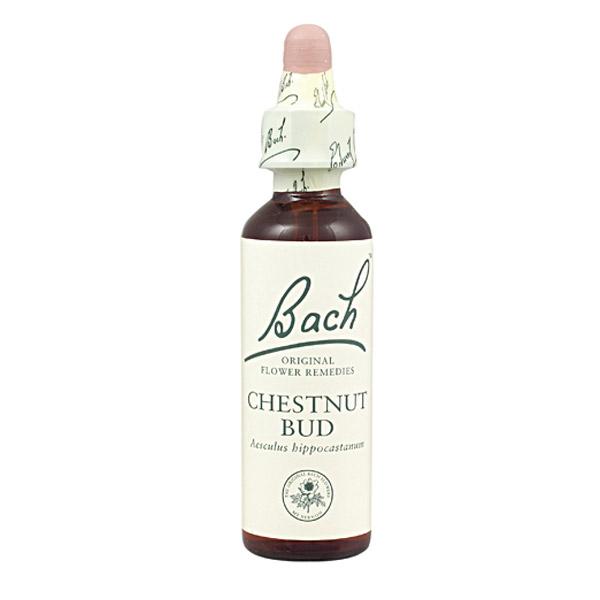 BACH 7- Chestnut bud (Brote de castao)(20 ml.)