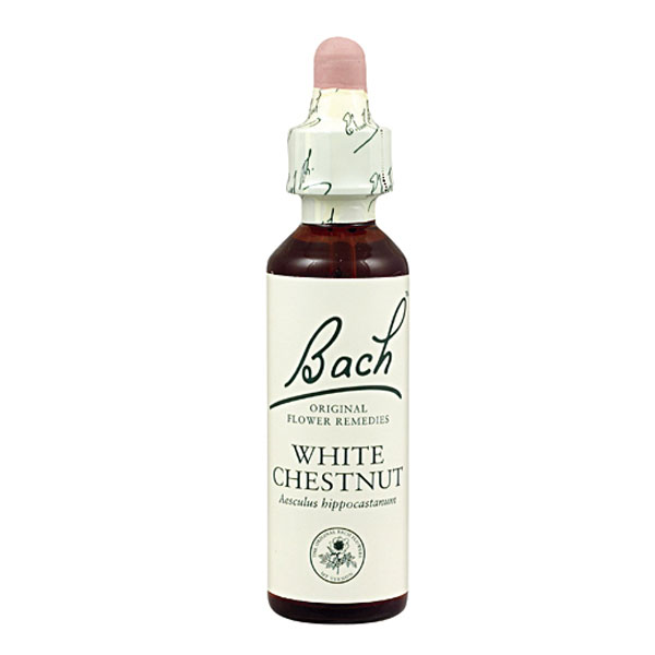 BACH 35 - White Chestnut (Castao de indias)(20 ml.)