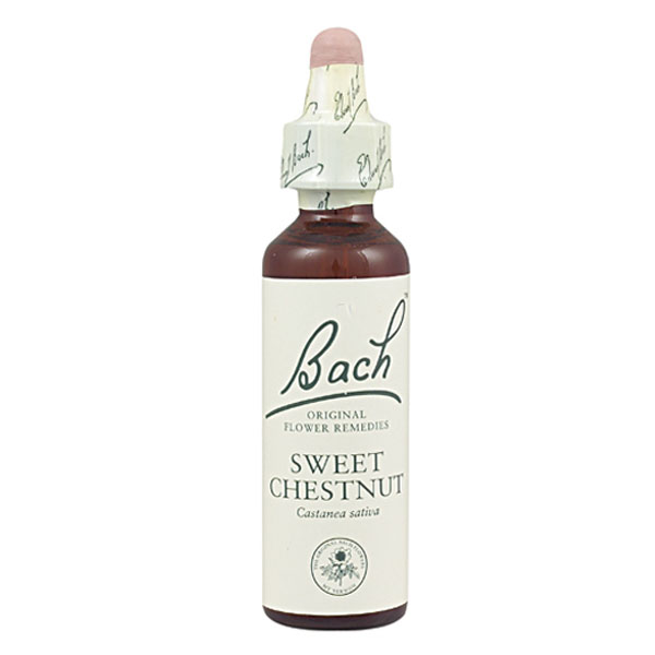 BACH 30 - Sweet chestnut (Castao dulce)( 20 ml)