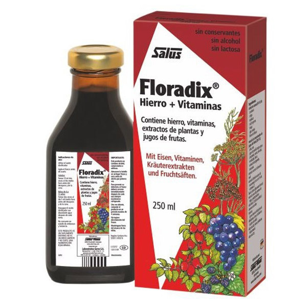 FLORADIX Jarabe (250 ml)