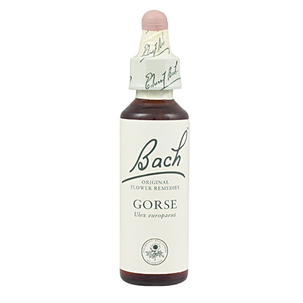 BACH 13 - Gorse (Aulaga)(20 ml.)