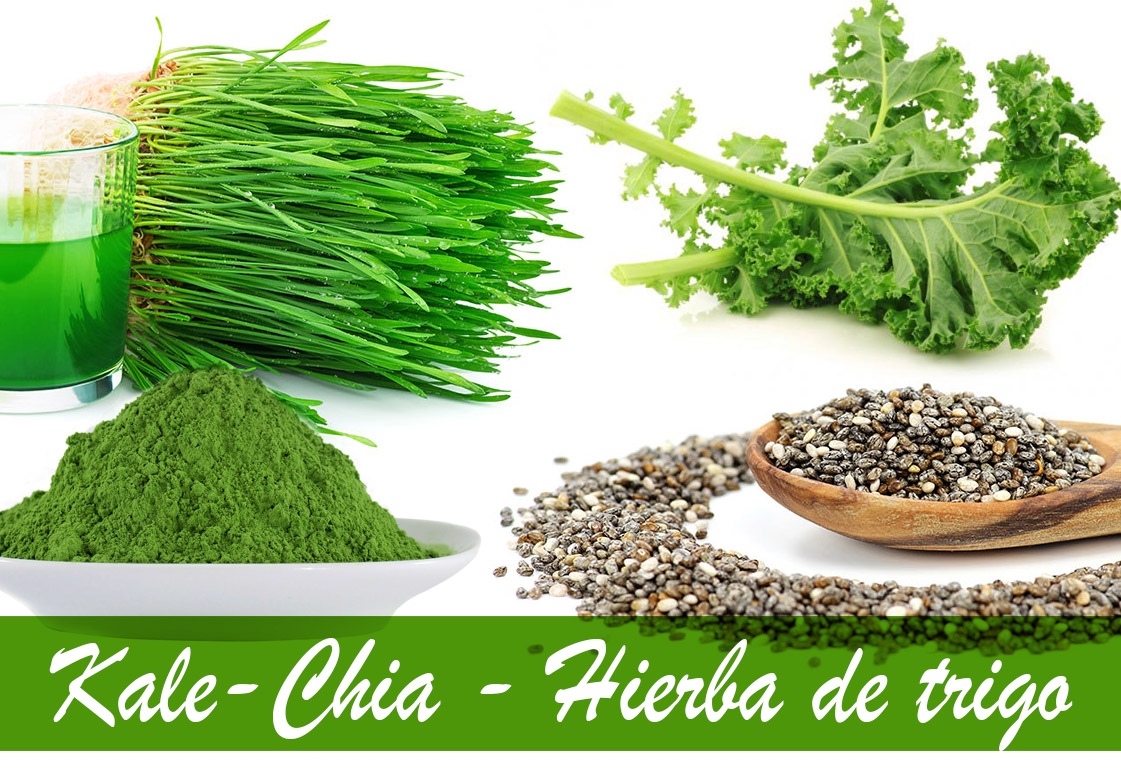 Kale superalimento