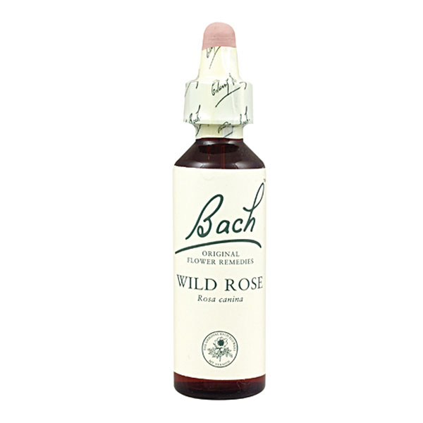 BACH 37 - Wild Rose (Rosa silvestre)(20 ml.)