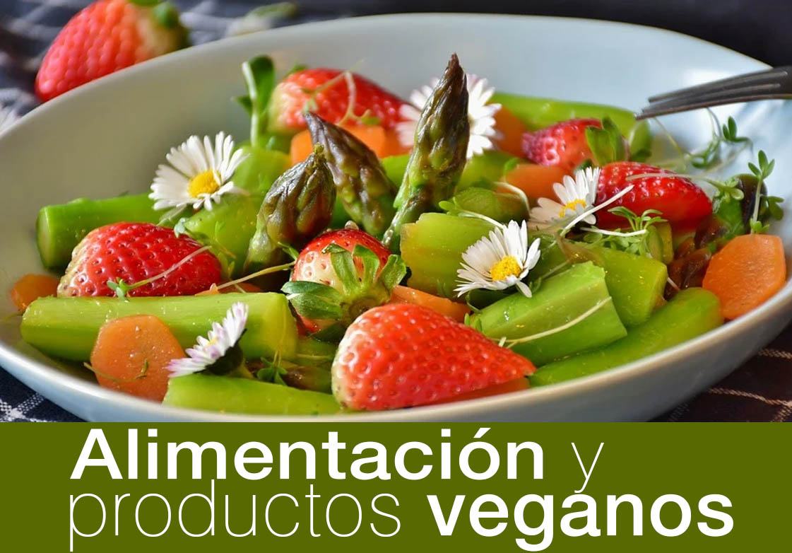 EL VEGANISMO UN ESTILO DE VIDA Y DE ALIMENTACIN