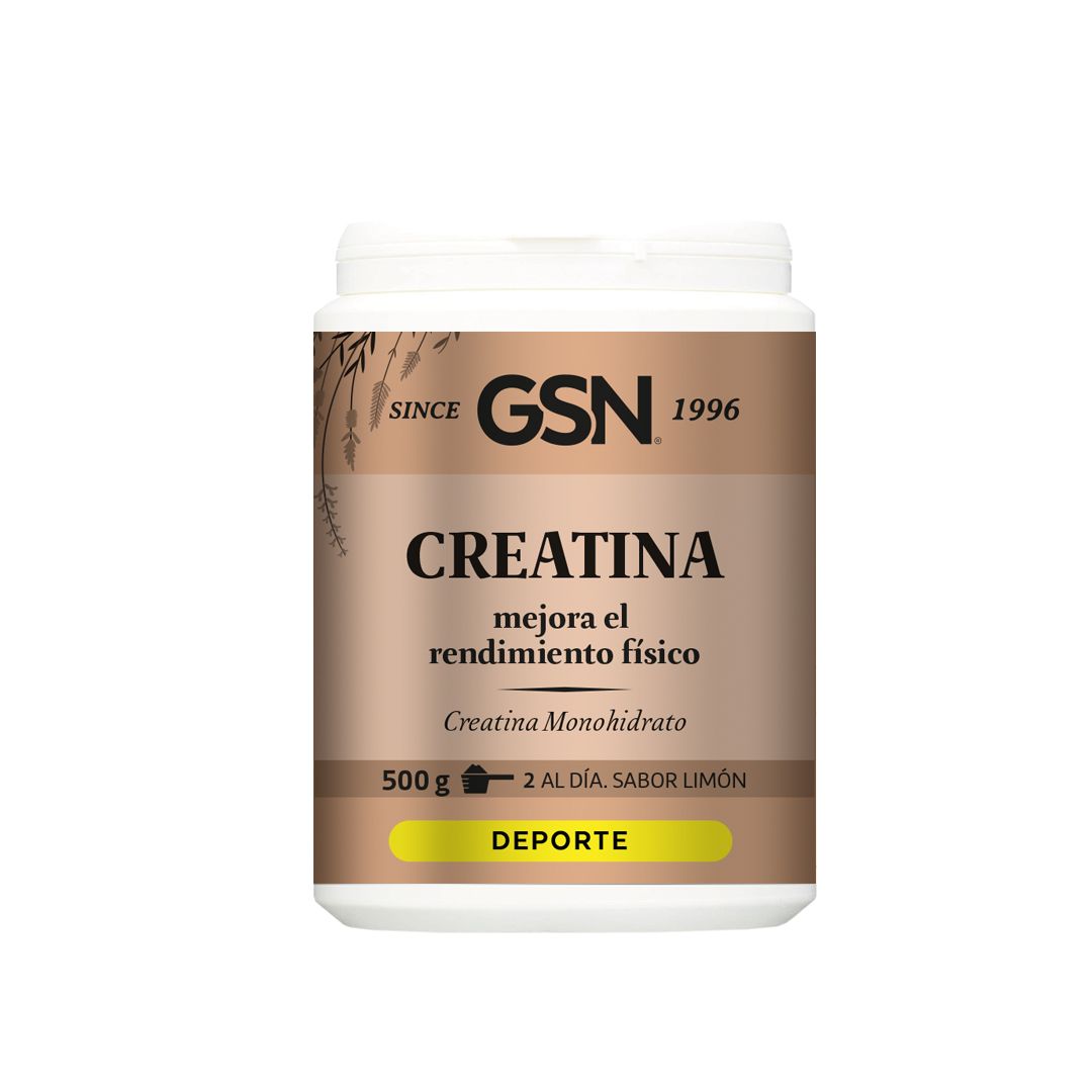 GSN - CREATINA  (500 gr.)