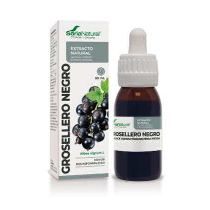 EXTRACTO DE GROSELLERO NEGRO siglo XXI (50 ml)