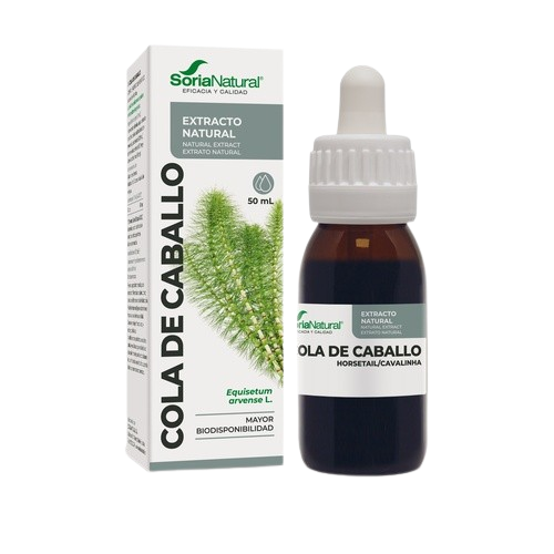 Extracto de COLA de CABALLO siglo XXI (50 ml)