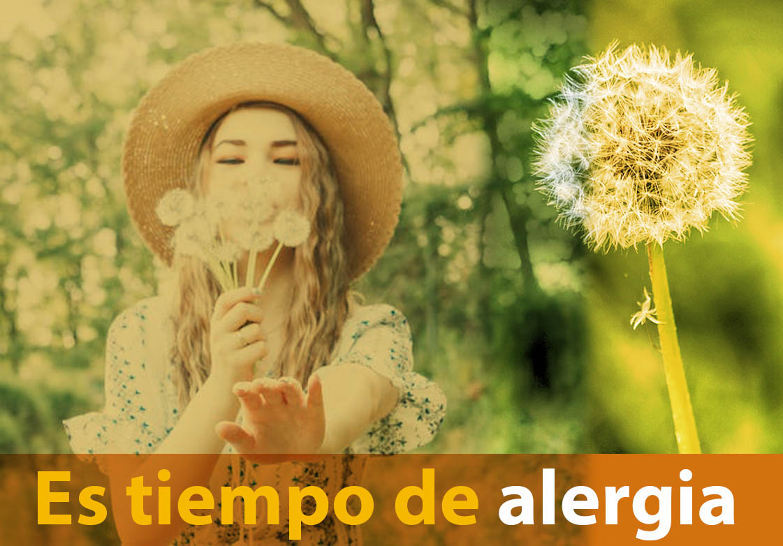 LAS ALERGIAS- Como paliar sus sintomas