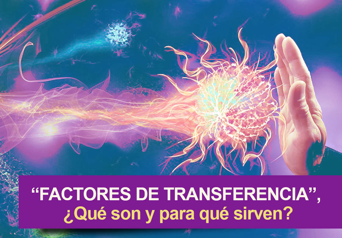 Los factores de transferencia - que son-para que sirven y cuales son sus beneficios