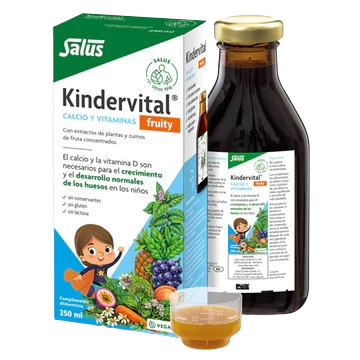 FLORADIX KINDERVITAL fruity (250 ml)