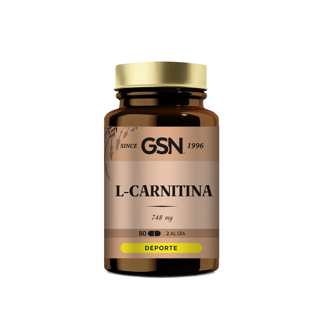 GSN - L-CARNITINA (80 comprimidos)