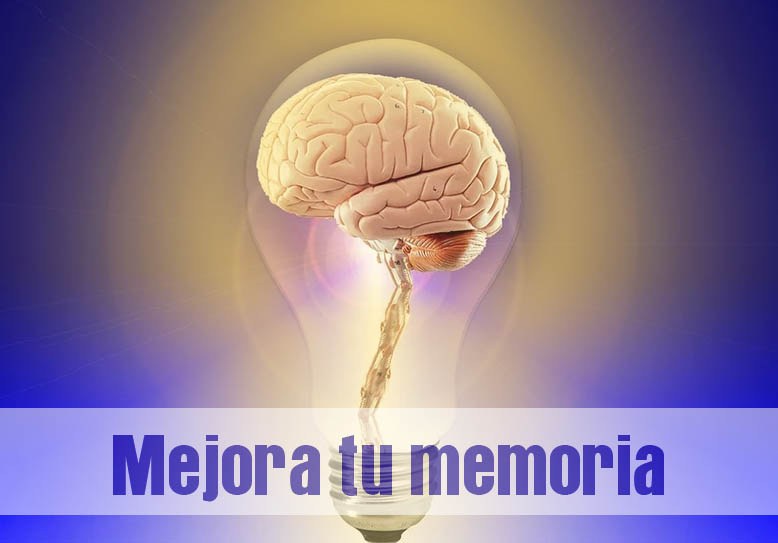 Mejora tu memoria para recordar, mejorar el aprendizaje y combatir la fatiga.