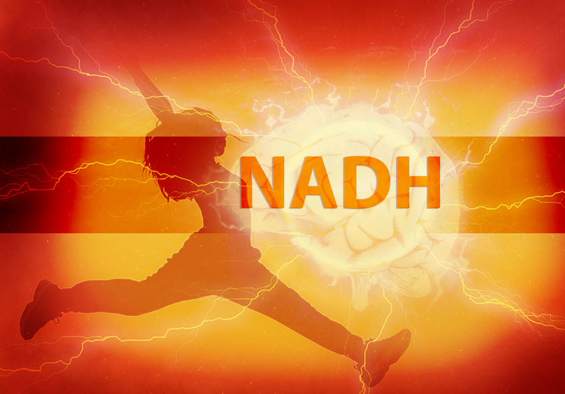 NADH - Coenzima 1-Fundamental para la generación de energía.