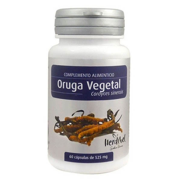 ORUGA VEGETAL (Cordyceps sinensis) (60 cpsulas)