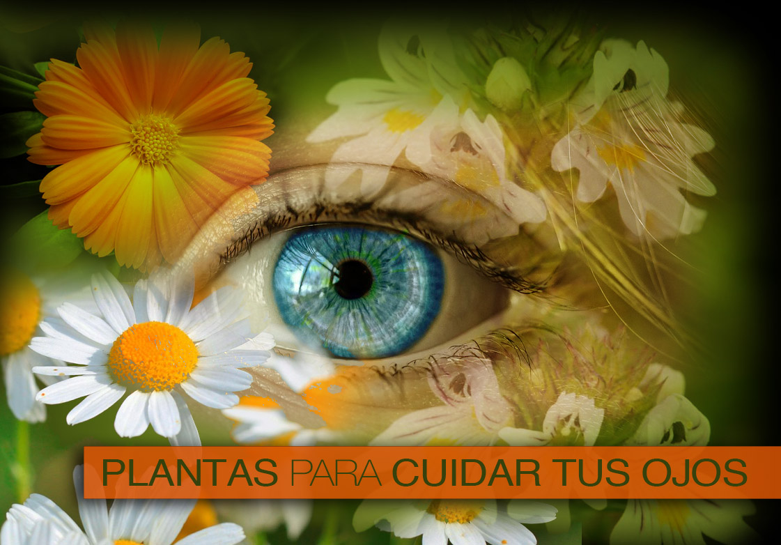 Remedios naturales para cuidar tus ojos