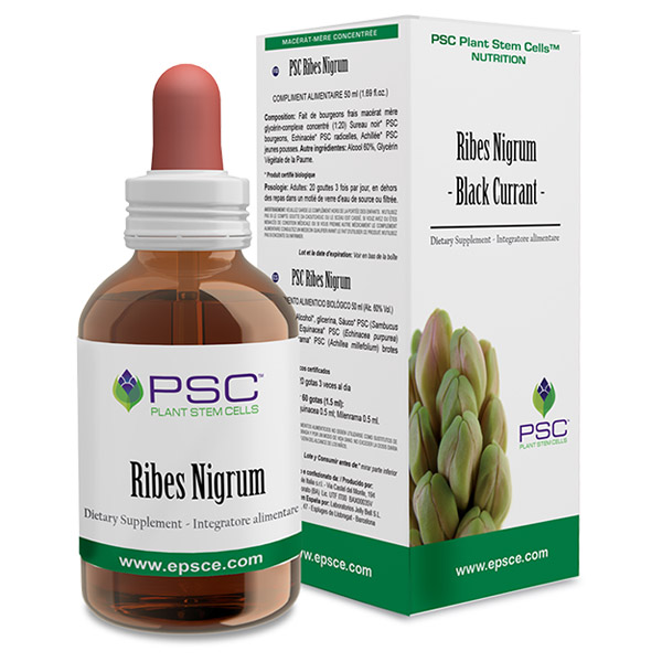 PSC RIBES NIGRUM (15 ml)